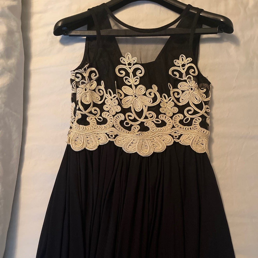 Angel biba embroidered mesh dress